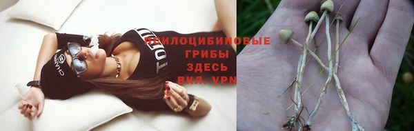 стаф Абинск