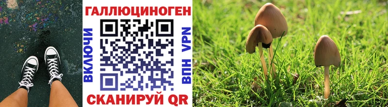 даркнет формула  Тбилисская  Галлюциногенные грибы GOLDEN TEACHER 