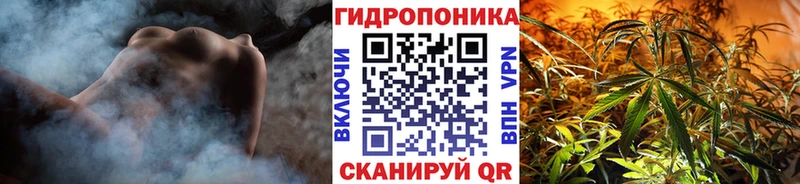 мега вход  Тбилисская  Канабис конопля 
